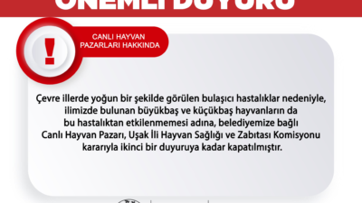 Uşak Belediyesi, çevre illerde görülen bulaşıcı hastalıkların yayılmasını önlemek amacıyla
