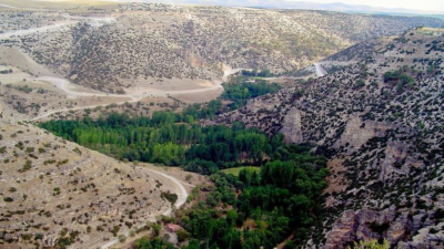 Uşaksehri.com, Uşak ile ilgili en güncel haberleri, günlük cenaze ilanlarını,