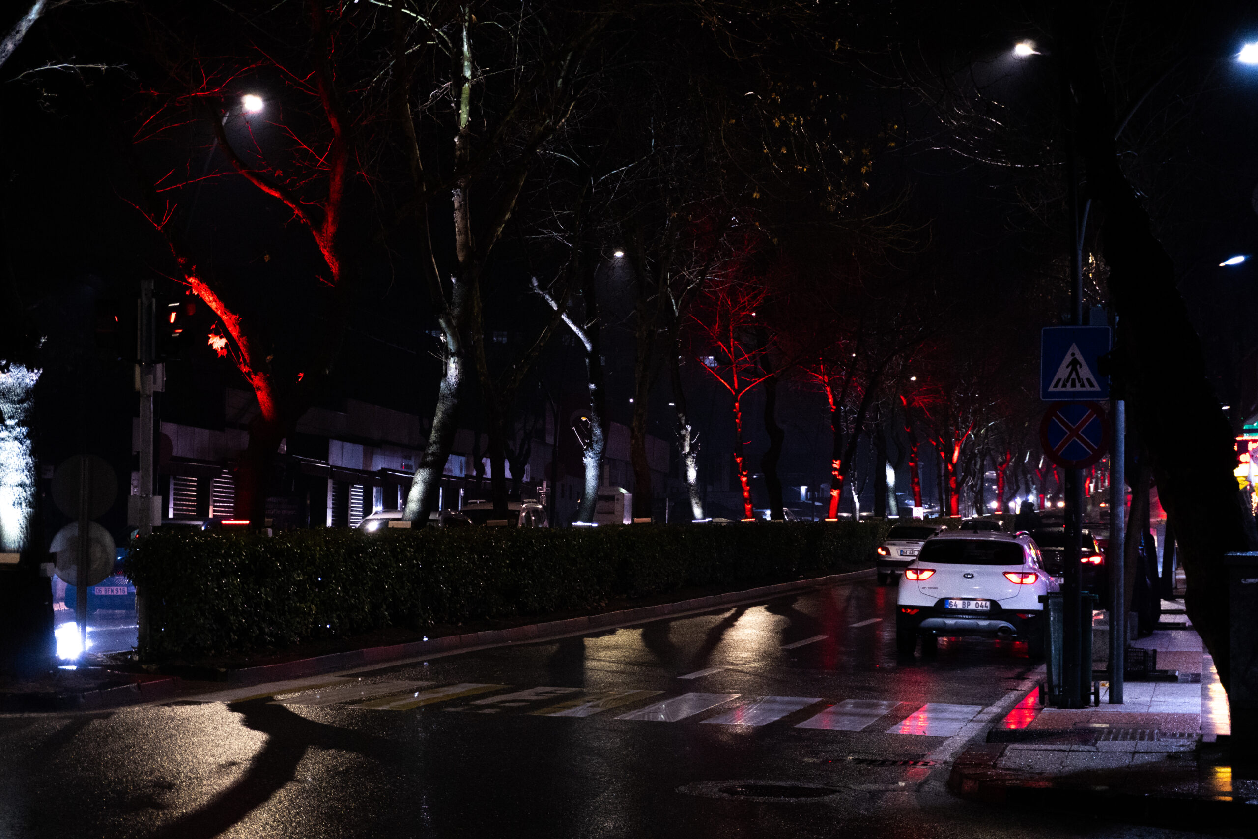 Araçlar, ışıklar ve cadde