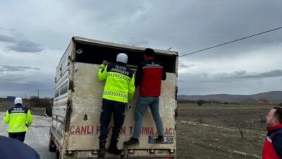 Uşak’ta hayvan sağlığının korunması amacıyla İl Tarım ve Orman Müdürlüğü