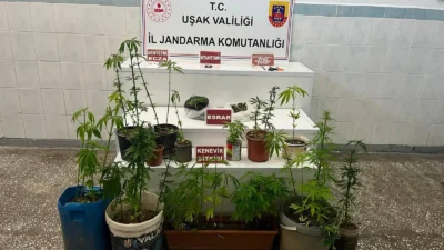 Uşak İl Jandarma Komutanlığı ekiplerince Merkez ilçede düzenlenen operasyonda, 48
